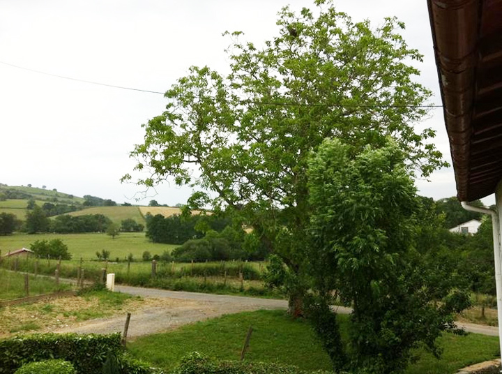 gîte à la campagne